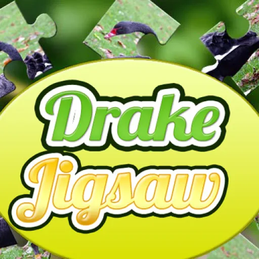 Drake Jigsaw