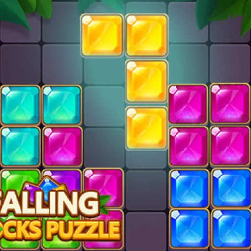 Falling Blocks Puzzle