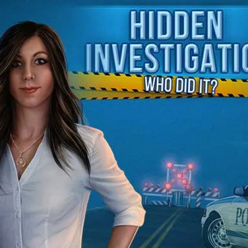 Hidden Investigation: Who Did it?
