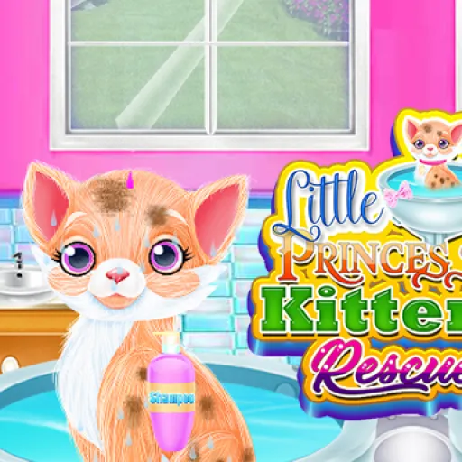 Little Princess Kitten Rescue