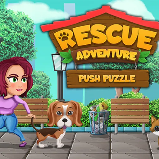 Push Puzzle Rescue Adventure