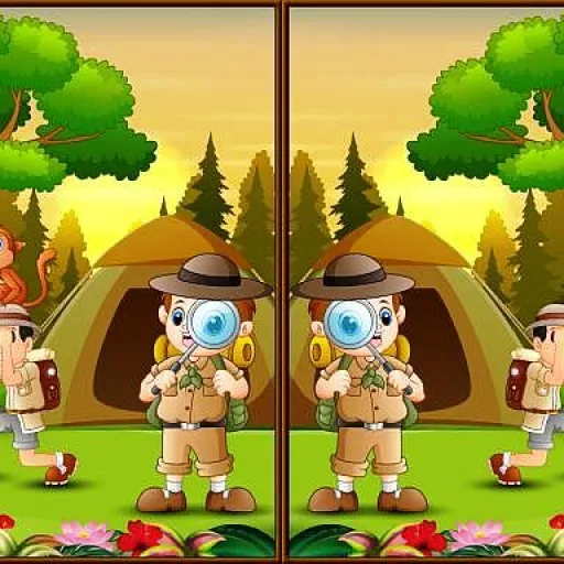 Spot 5 Differences Camping